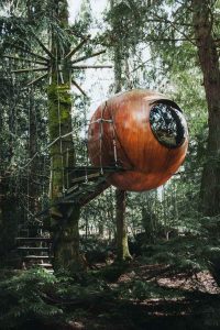 Spherical Treehouse