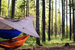 Camping Hammock