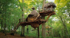 Multi-Level Treehouse