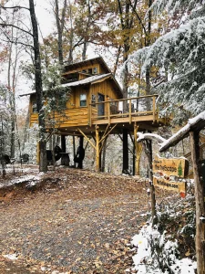 TreEscape in the Winter