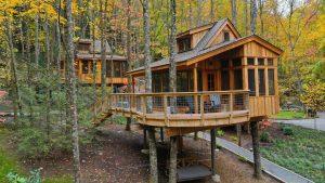 Treehouse Grove