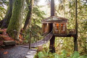 Secluded Luxury Treehouse