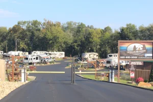 Buddy Bear Campground