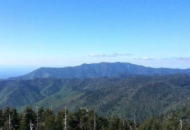 Mount LeConte: Trails, Tips, and What to Expect