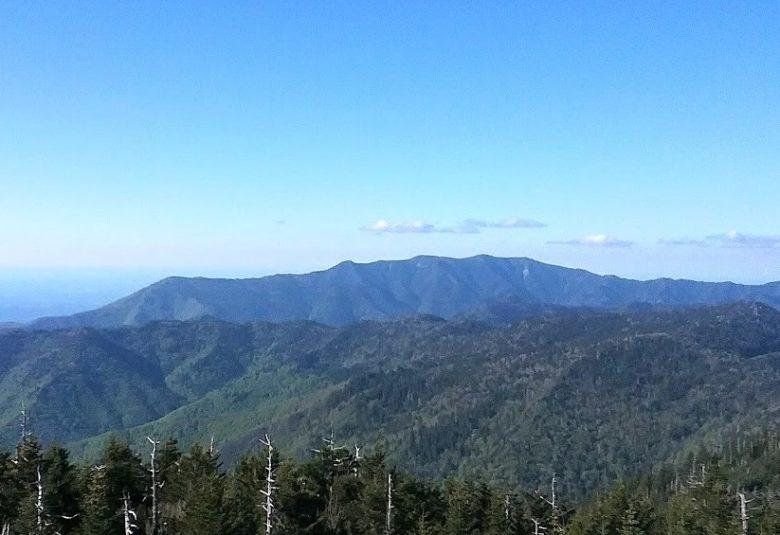Mount LeConte: Trails, Tips, and What to Expect